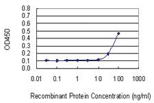 Anti-PNP Mouse Monoclonal Antibody [clone: 6E5]