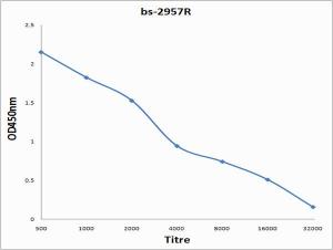 Anti-SCNN1A Rabbit Polyclonal Antibody