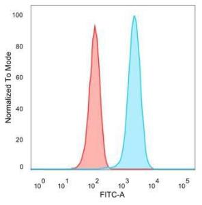 Flow cytometric analysis of PFA-fixed MCF-7 cells using Anti-Lactoferrin Antibody [LTF/4079] followed by Goat Anti-Mouse IgG (CF and #174; 488) (Blue). Isotype Control (Red)