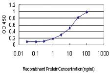 Anti-PSENEN Mouse Monoclonal Antibody [clone: 1C12-G5]