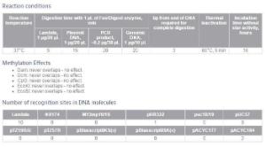 FERMFD0414 - ENZYME FD ECO130I 200µL (200RXN)