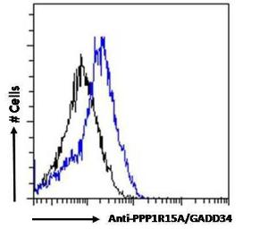 Anti-PPP1R15A Antibody (A83758) Flow cytometric analysis of paraformaldehyde fixed HepG2 cells (blue line), permeabilized with 0