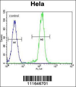 Anti-AKT2 Rabbit Polyclonal Antibody (AP (Alkaline Phosphatase))