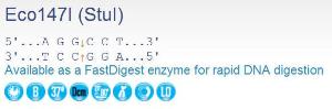 Restriction enzyme, Eco147I (StuI), Fermentas