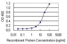 Anti-NPM Mouse Monoclonal Antibody [clone: 3B2]