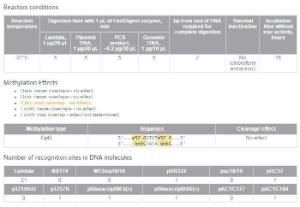 FERMFD0303 - ENZYME FD ECO32I 200µL (200RXN)