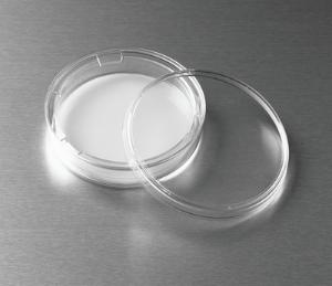 Corning® Permeable Supports, Polycarbonate (PC) Membrane, Corning