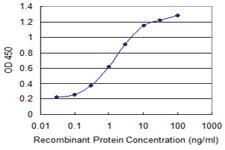 Anti-ZSCAN29 Mouse Monoclonal Antibody [clone: 2E8]