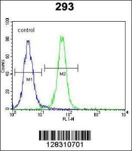 Anti-ZNF611 Rabbit Polyclonal Antibody (HRP (Horseradish Peroxidase))