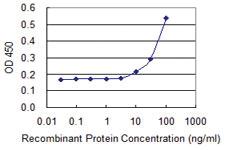 Anti-NPR2 Mouse Monoclonal Antibody [clone: 3D6]