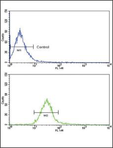 Anti-PTK7 Rabbit Polyclonal Antibody