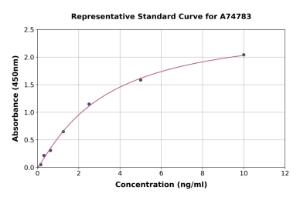 Representative standard curve for Human ERFE/Erythroferrone ELISA kit (A74783)