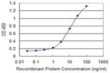 Anti-PUF60 Mouse Monoclonal Antibody [clone: 1C1]