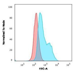 Flow cytometric analysis of paraformaldehyde fixed Raji cells using Anti-BOB1 Antibody [BOB1/2424] followed by Goat Anti-Mouse IgG (CFand#174; 488) (Blue). Isotype Control (Red)