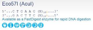 FERMER0341 - ENZYME ECO57I 200 UNITS