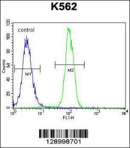 Anti-ZNF619 Rabbit Polyclonal Antibody