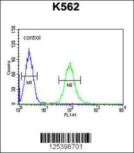 Anti-KATL1 Rabbit Polyclonal Antibody