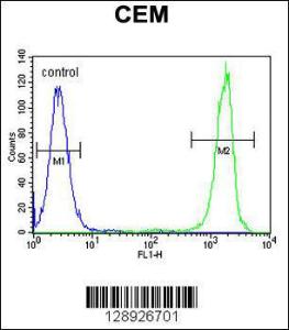 Anti-NUDT22 Rabbit Polyclonal Antibody