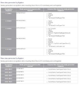 FERMER0391 - ENZYME ECO91I 1000 UNITS