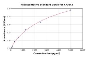 Representative standard curve for Human Nodal ELISA kit (A77043)