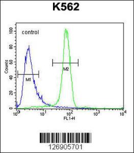 Anti-EGFR Rabbit Polyclonal Antibody (PE (Phycoerythrin))