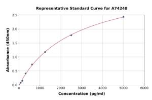 Representative standard curve for Rat uPA Receptor/U-PAR ELISA kit (A74248)