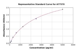 Representative standard curve for Human Caspase-5 ELISA kit (A77570)