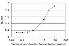 Anti-SFN Mouse Monoclonal Antibody [clone: 1E6]