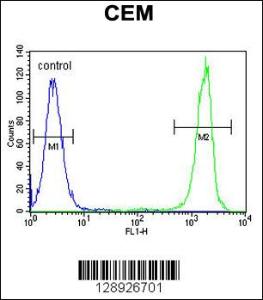 Anti-NUDT22 Rabbit Polyclonal Antibody (HRP (Horseradish Peroxidase))