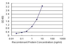 Anti-BIRC5 Antibody Pair