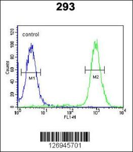 Anti-WDR11 Rabbit Polyclonal Antibody (Biotin)