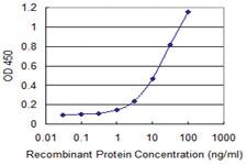 Anti-NT5E Mouse Monoclonal Antibody [clone: 4D3-2C10]