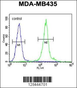 Anti-IL12B Rabbit Polyclonal Antibody (HRP (Horseradish Peroxidase))