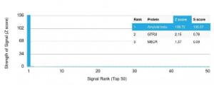 Analysis of protein array containing more than 19,000 full-length human proteins using Anti-beta Amyloid Antibody [APP/3345] Z-Score and S- Score