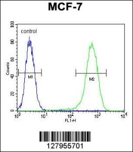 Anti-NUDT8 Rabbit Polyclonal Antibody