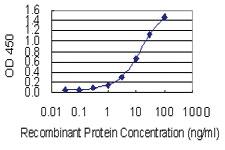 Anti-XRCC5 Mouse Monoclonal Antibody [clone: 3D8]