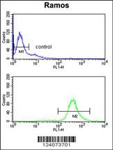 Anti-EIF2A Rabbit Polyclonal Antibody (AP (Alkaline Phosphatase))