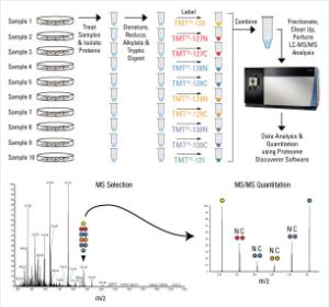 Isobaric Mass Tag Labelling Kit and Reagent Sets, TMT10plex™