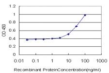 Anti-GPD1 Mouse Monoclonal Antibody [clone: 3C10-1C4]