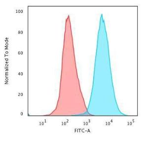 Flow cytometric analysis of PFA fixed Jurkat cells using Anti-CD45RO Antibody [190-2F25] followed by Goat Anti-Mouse IgG (CF&#174; 488) (Blue) Isotype Control (Red)