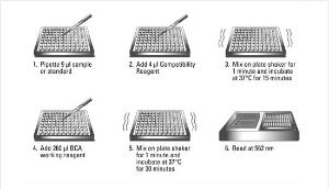 Pierce™ BCA Protein Assay Kits - Reducing Agent Compatible