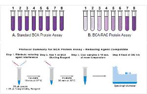 Pierce™ BCA Protein Assay Kits - Reducing Agent Compatible