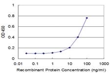 Anti-NTRK3 Mouse Monoclonal Antibody [clone: 4D5]