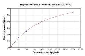 Representative standard curve for Rat Fas ELISA kit (A74787)