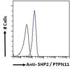 Anti-SHP2 Antibody (A83775) - Flow cytometric analysis of paraformaldehyde fixed A431 cells (blue line), permeabilized with 0.5% Triton