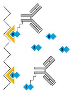 Monomeric avidin resin, UltraLink™, Pierce™