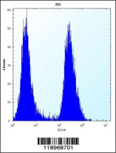 Anti-EIF2B1 Rabbit Polyclonal Antibody (APC (Allophycocyanin))