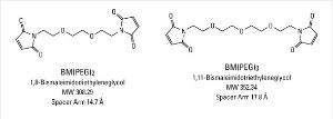 PEGylated BM (bismaleimido) Crosslinkers, Homobifunctional, Pierce™