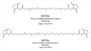 PEGylated BM (bismaleimido) Crosslinkers, Homobifunctional, Pierce™