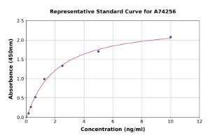 Representative standard curve for Human SERPINA11 ELISA kit (A74256)